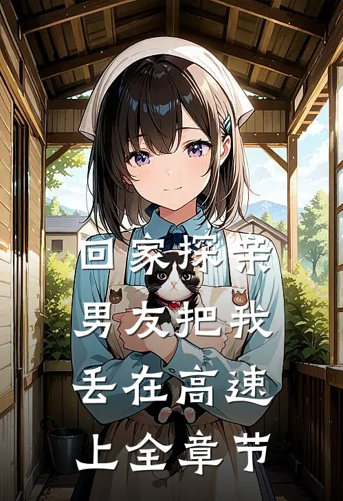 回家探亲，男友把我丢在高速上全章节