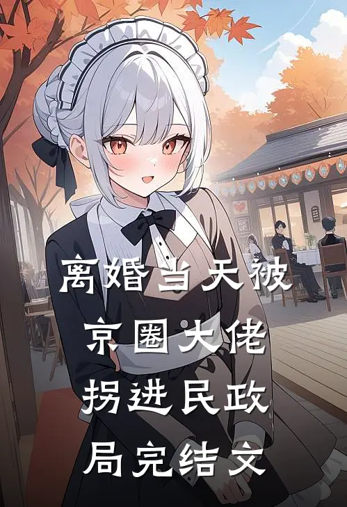 离婚当天被京圈大佬拐进民政局完结文
