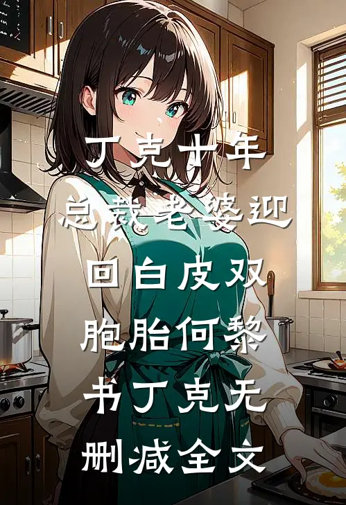丁克十年，总裁老婆迎回白皮双胞胎何黎书丁克无删减全文