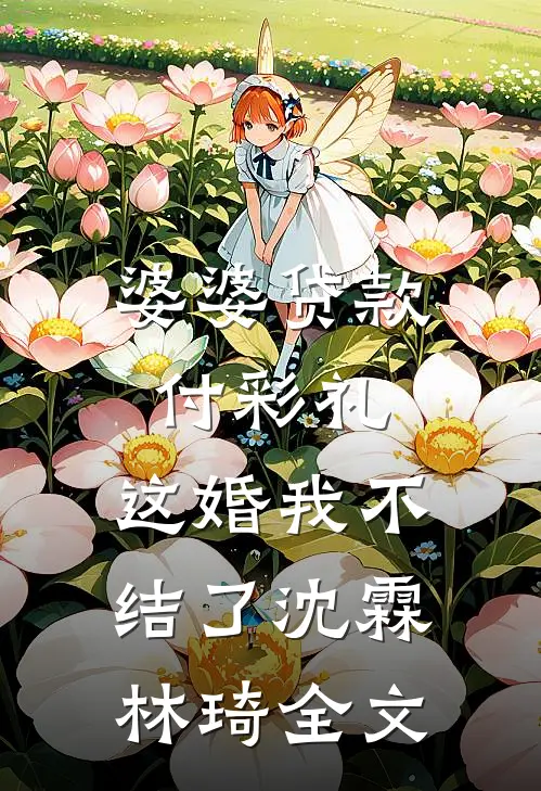 婆婆贷款付彩礼，这婚我不结了沈霖林琦全文