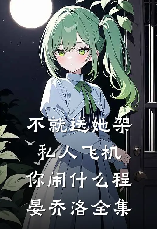 不就送她架私人飞机，你闹什么程晏乔洛 全集