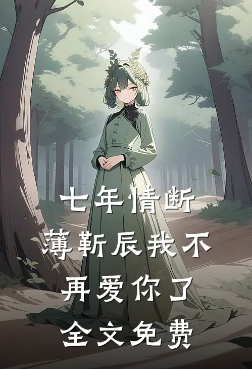 七年情断，薄靳辰我不再爱你了全文免费