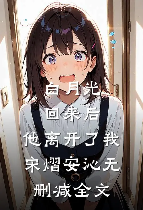 白月光回来后，他离开了我宋熠安沁无删减全文