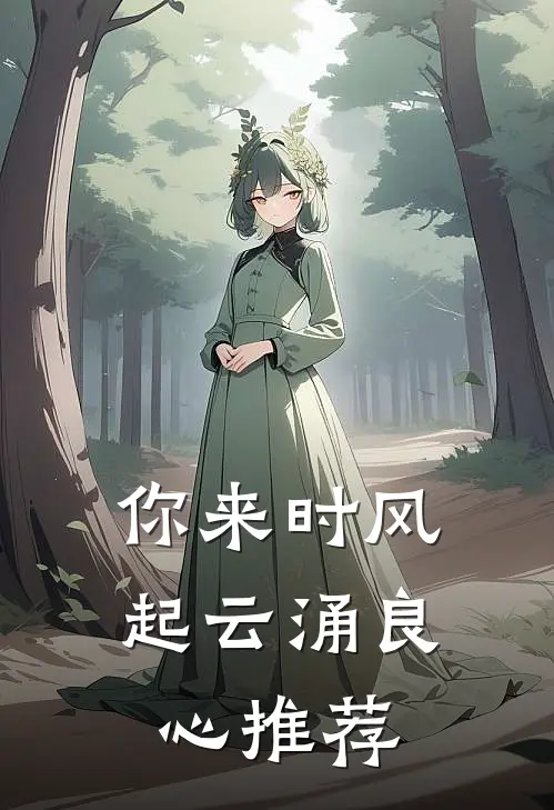 你来时风起云涌良心推荐