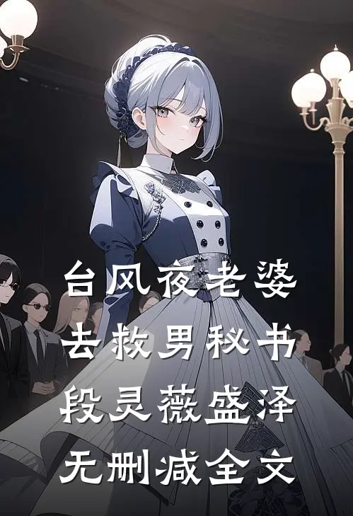 台风夜老婆去救男秘书段灵薇盛泽无删减全文