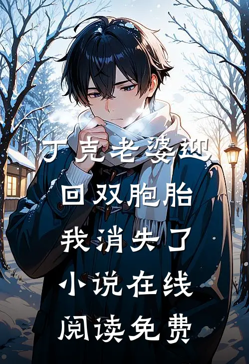 丁克老婆迎回双胞胎，我消失了小说在线阅读免费