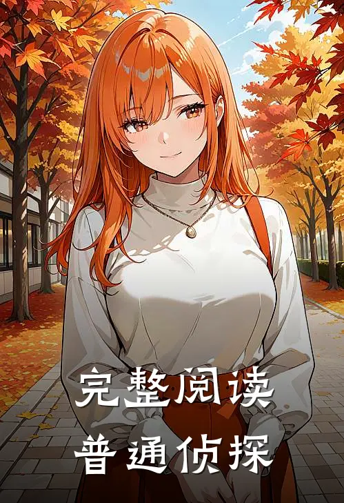 完整阅读普通侦探