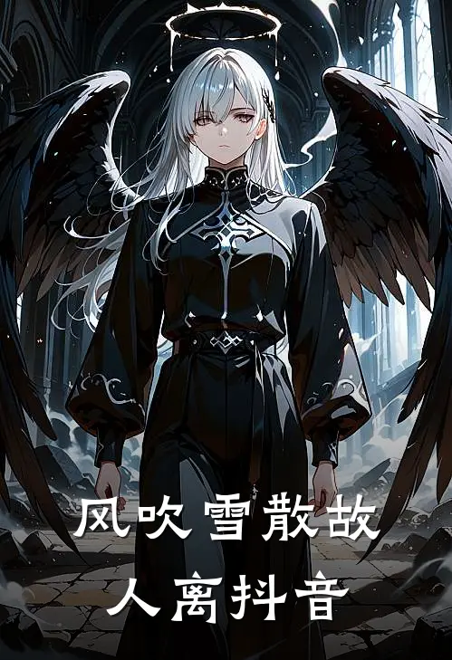 风吹雪散故人离抖音