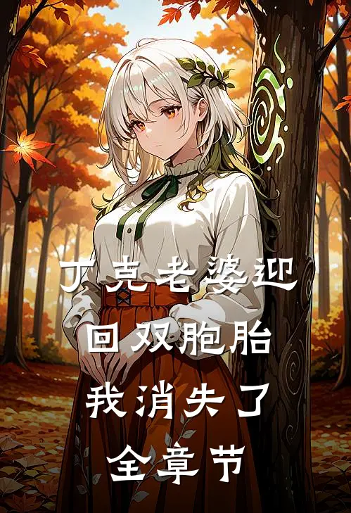 丁克老婆迎回双胞胎，我消失了全章节
