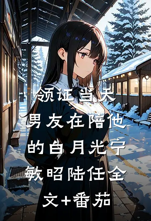 领证当天，男友在陪他的白月光宁敏昭陆任全文+番茄