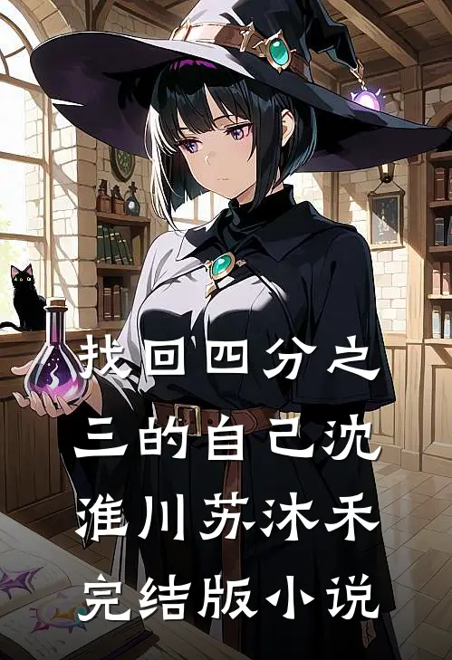 找回四分之三的自己沈淮川苏沐禾完结版小说