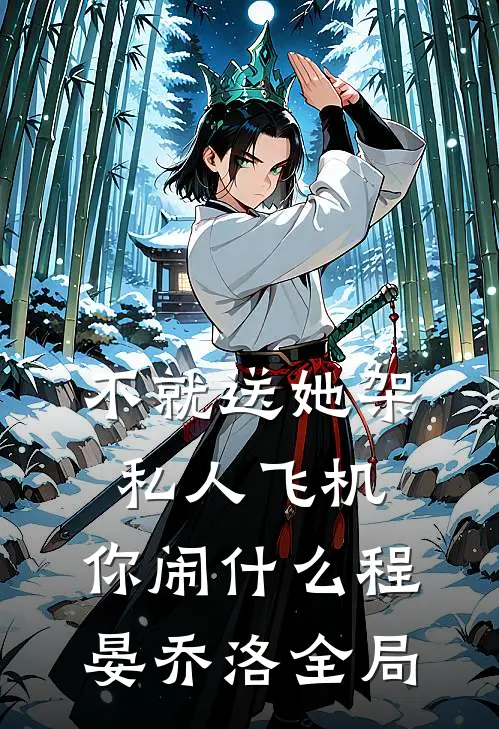 不就送她架私人飞机，你闹什么程晏乔洛全局