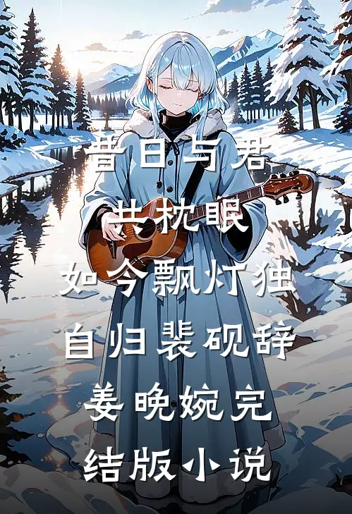 昔日与君共枕眠，如今飘灯独自归裴砚辞姜晚婉完结版小说