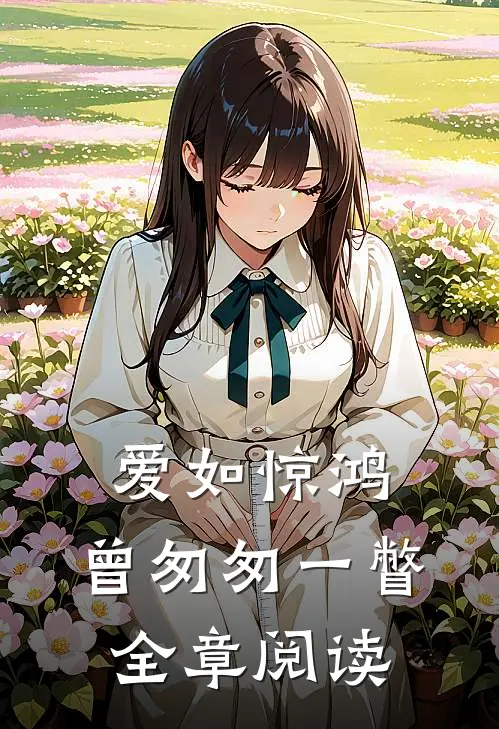 爱如惊鸿，曾匆匆一瞥全章阅读