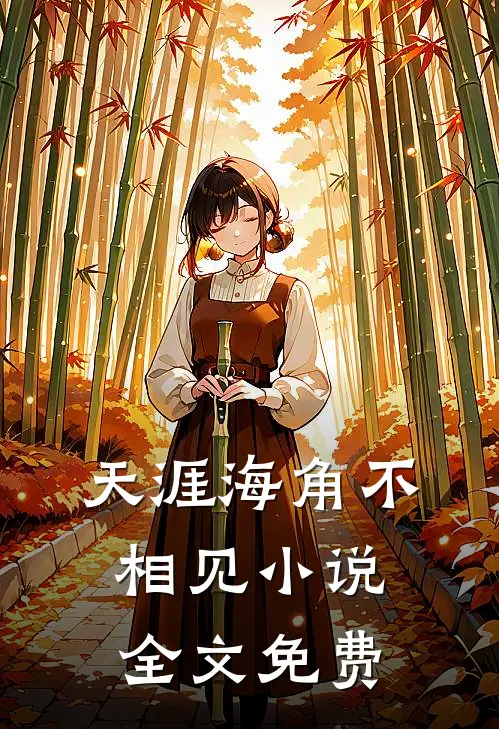 天涯海角不相见小说全文免费