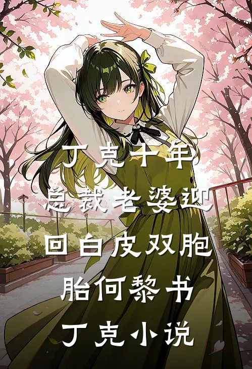丁克十年，总裁老婆迎回白皮双胞胎何黎书丁克小说