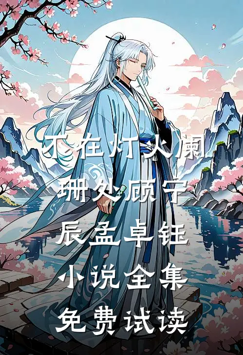 不在灯火阑珊处顾宁辰孟卓钰小说全集免费试读