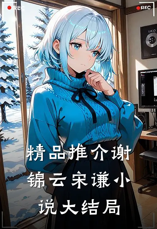 精品推介谢锦云宋谦小说大结局