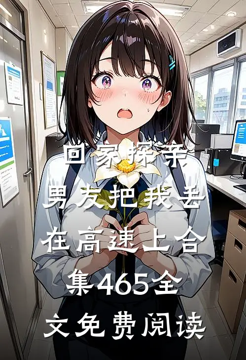 回家探亲，男友把我丢在高速上合集465全文免费阅读