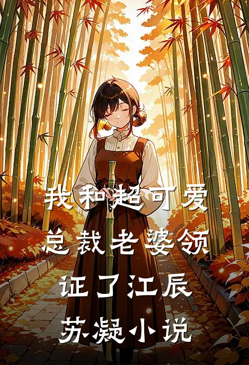 我和超可爱总裁老婆领证了江辰苏凝小说