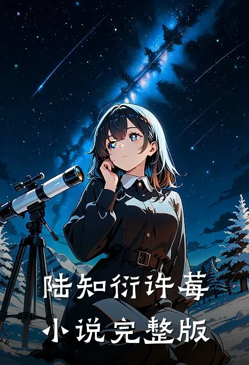 陆知衍许莓小说完整版