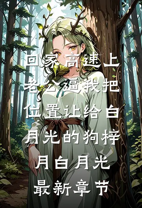 回家高速上，老公逼我把位置让给白月光的狗梓月白月光最新章节