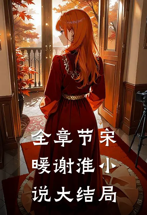 全章节宋暖谢淮小说大结局