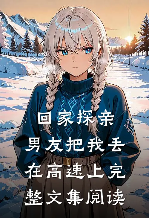 回家探亲，男友把我丢在高速上完整文集阅读
