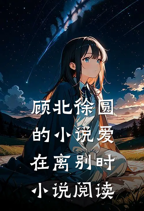 顾北徐圆的小说爱在离别时小说阅读