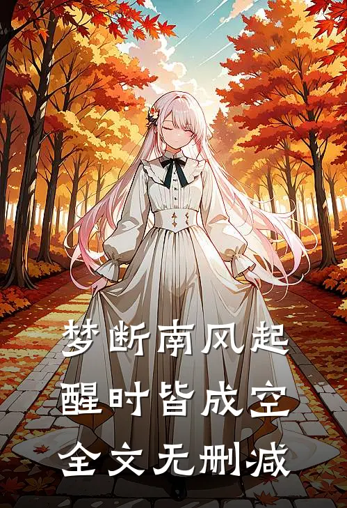 梦断南风起，醒时皆成空全文无删减