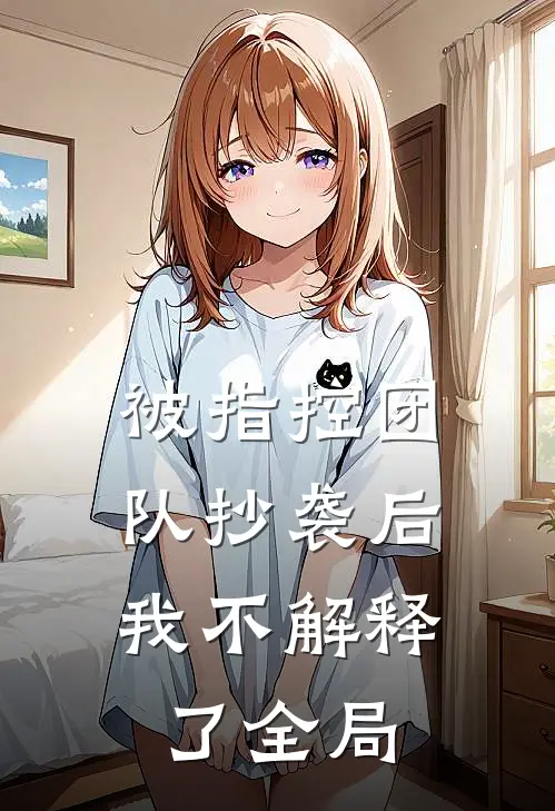 被指控团队抄袭后，我不解释了全局