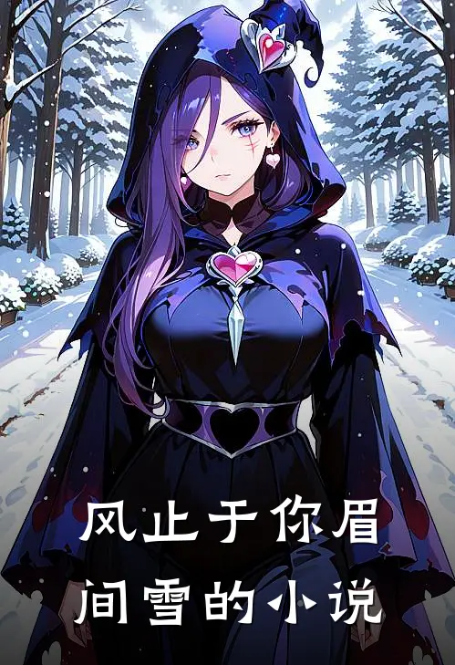 风止于你眉间雪的小说