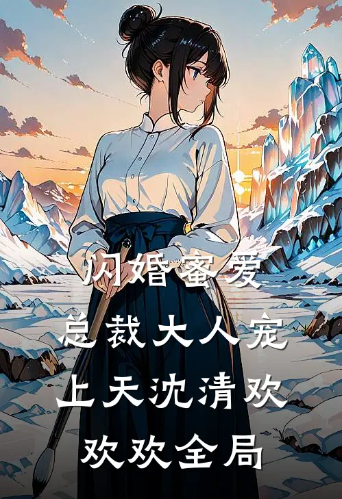 闪婚蜜爱：总裁大人宠上天沈清欢欢欢全局