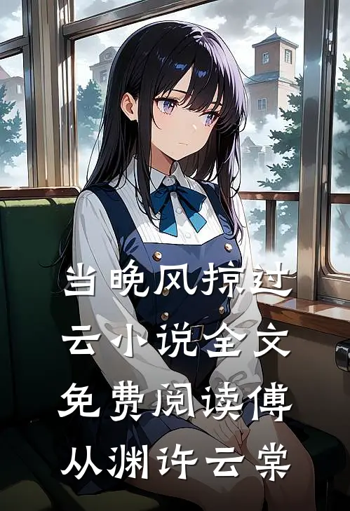 当晚风掠过云小说全文免费阅读傅从渊许云棠