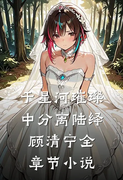 于星河璀璨中分离陆绎顾清宁全章节小说