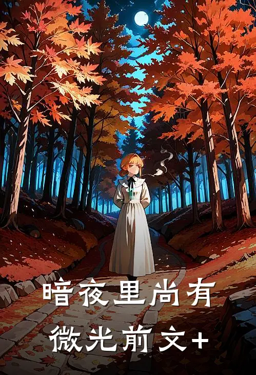 暗夜里尚有微光前文+