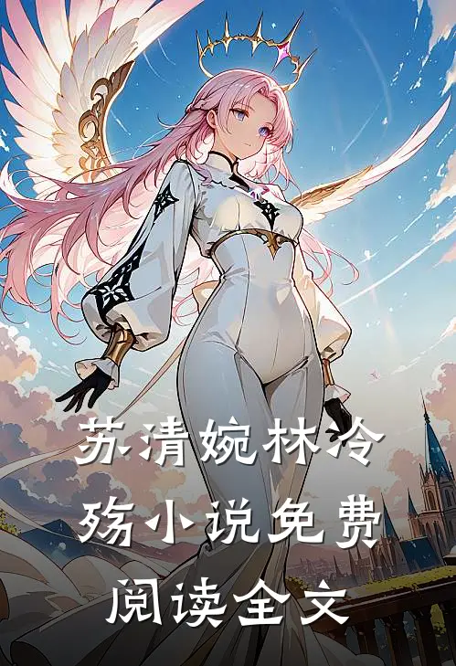 苏清婉林冷殇小说免费阅读全文