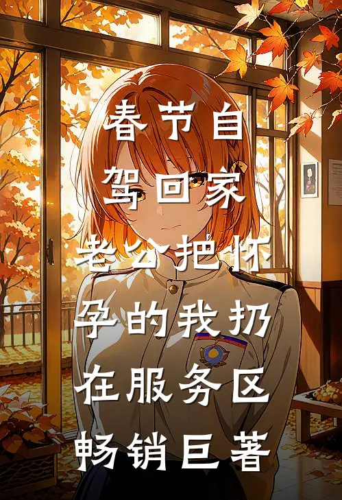 春节自驾回家，老公把怀孕的我扔在服务区畅销巨著