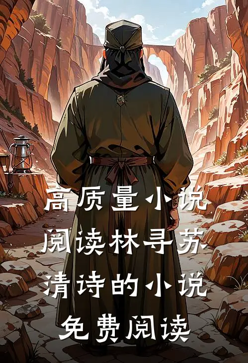 高质量小说阅读林寻苏清诗的小说免费阅读