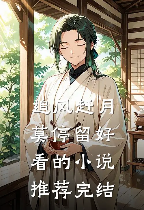 追风赶月莫停留好看的小说推荐完结