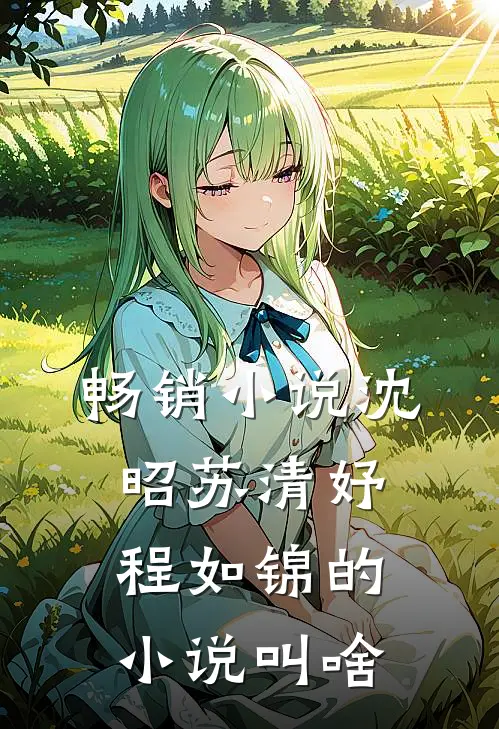 畅销小说沈昭苏清妤程如锦的小说叫啥