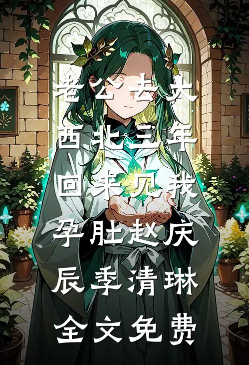 老公去大西北三年，回来见我孕肚赵庆辰季清琳全文免费