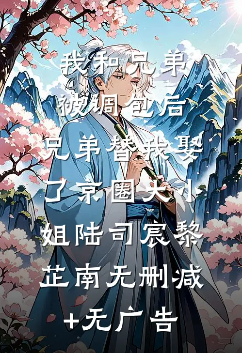 我和兄弟被调包后，兄弟替我娶了京圈大小姐陆司宸黎芷南无删减+无广告