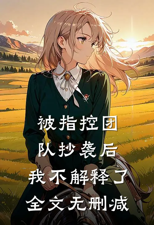 被指控团队抄袭后，我不解释了全文无删减
