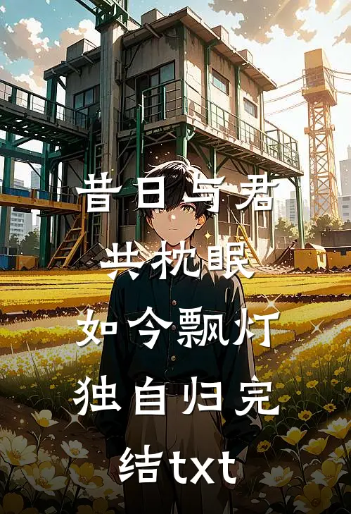 昔日与君共枕眠，如今飘灯独自归完结txt