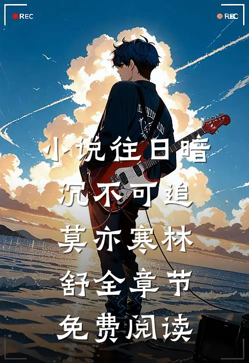 小说往日暗沉不可追莫亦寒林舒全章节免费阅读