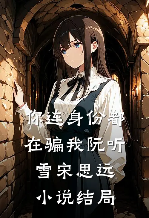你连身份都在骗我阮听雪宋思远小说结局