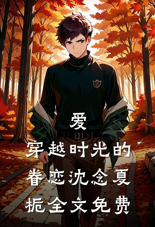 爱，穿越时光的眷恋沈念夏栀全文免费