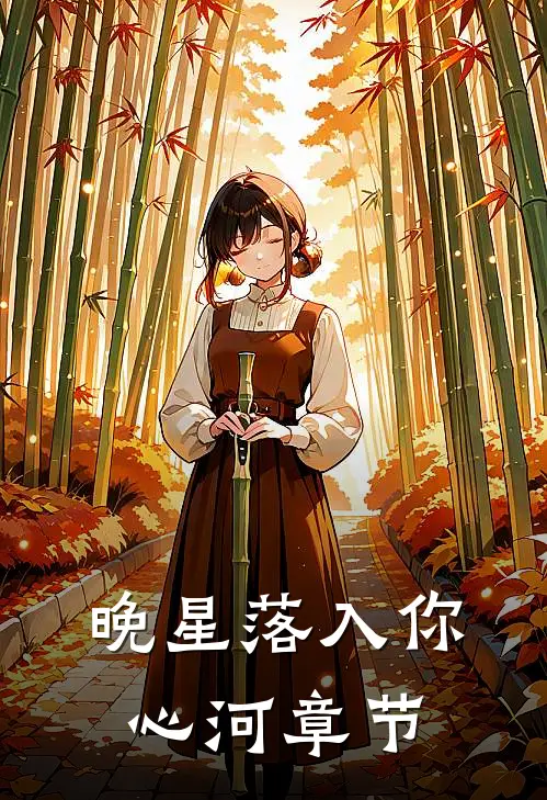 晚星落入你心河章节