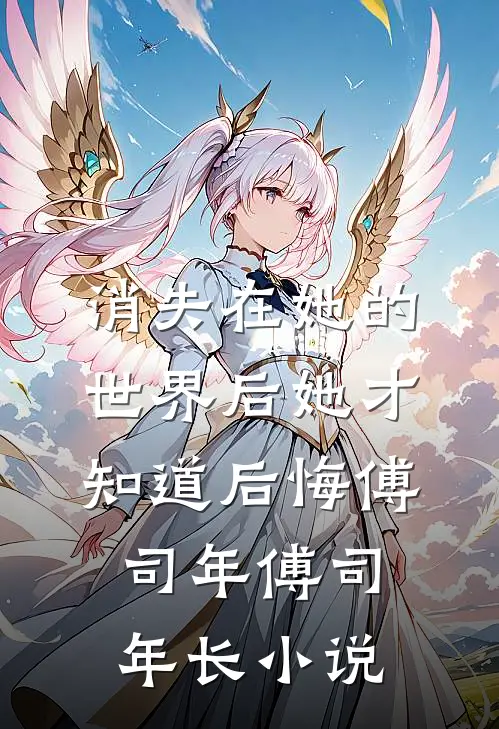 消失在她的世界后她才知道后悔傅司年傅司年长小说